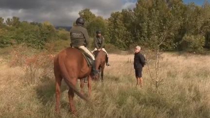 Haut-Rhin : une "Brigade verte" pour surveiller les zones rurales