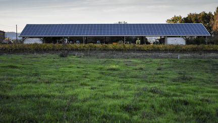 Des panneaux solaires dans le var, le 18 novembre 2021. (MAGALI COHEN / HANS LUCAS)