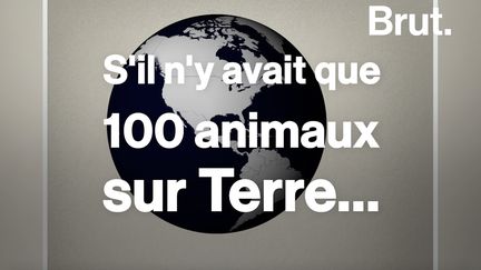 Voilà à quoi ressemblerait la Terre si elle n'était peuplée que par 100 animaux.