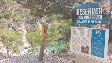 Les restrictions de visites à la calanque de Sugiton, dans les Bouches-du-Rhône, commencent à faire effet. (GUILLAUME FARRIOL / RADIO FRANCE)