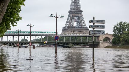 La Seine, à Paris, le 2 juin 2016. (IRINA KALASHNIKOVA / SPUTNIK / AFP)