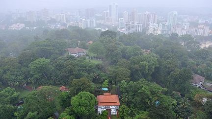 Ce jardin, situé au bord du centre-ville de Singapour, vieux de 154 ans, s’il est sélectionné par le Comité, rejoindra les Royal botanic gardens à Londres et l'Orto botanico en Italie, déjà sur la prestigieuse liste. 

Il peut se vanter de posséder plus de 30.000 espèces de plantes et d'arbres dont certaines sont en voie de disparition. Il dispose également d’une concentration de plantes médicinales dans la partie appelée Bukit Timah.
 (AFP/SINGAPORE PRESS HOLDINGS/ST/ALPHONSUS CHERN)