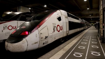 TGV à l'arrêt en gare Montparnasse, vendredi 26 juillet 2024. (THIBAUD MORITZ / AFP)