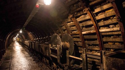 L'une des galeries souteraines de Walbrzych (Pologne), photographi&eacute;e le 9 novembre 2011. (MACIEJ KULCZYNSKI / PAP)