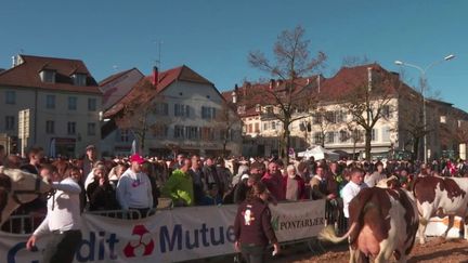 C’est encore la saison des foires agricoles.&nbsp;Après deux ans de Covid-19, les visiteurs ont retrouvé avec bonheur ces rendez-vous incontournables. (FRANCE 3)