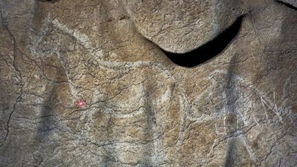 Peintures rupestres dans la cave d'Atxurra, au Pays basque espagnol (24 mai 2016)
 (Diputacion foral de Bizkaia / AFP)