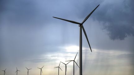 Illustration d'éoliennes dans le&nbsp;département d'Eure-et-Loire, le 11 août 2020. (JEAN-FRANCOIS MONIER / AFP)