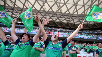 Des supporters irlandais pendant le match Irlande du Nord-Pologne à l'Allianz Riviera de Nice (Alpes-Maritimes), le 12 juin 2016. (MAXPPP)