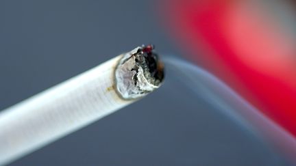 Une cigarette en train de se consumer. L'intrigue du livre de Marin Ledun se déroule dans le monde de l'industrie du tabac.&nbsp; (CARO LAURENT / MAXPPP)