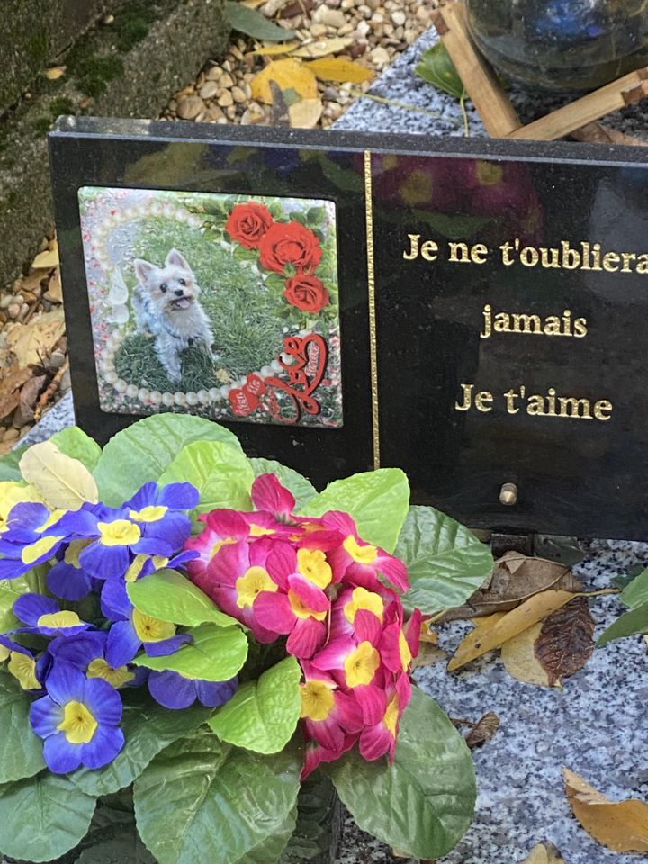 The grave of a dog at the animal cemetery of Asnières-sur-Seine (Hauts-de-Seine) (Morgue Heuclin-Reffait / RADIOFRANCE)