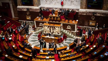 L'hémicycle de l'Assemblée nationale, le 3 mars 2020.&nbsp; (AMAURY CORNU / HANS LUCAS / AFP)