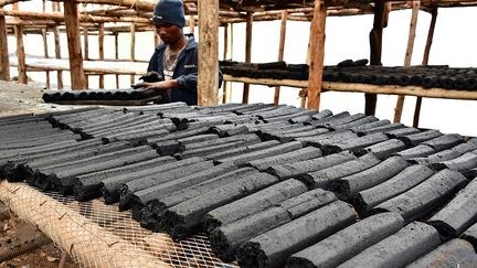 Les blocs placés ensuite dans une machine spéciale sont alors moulés en briquettes de combustible sous forme de petits cylindres. Cette technique a permis à l’Ouganda de connaître une avancée dans la lutte contre la déforestation et la pollution atmosphérique.&nbsp; &nbsp; (REUTERS / ABUBAKER LUBOWA)