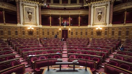 L'hémicycle du Palais du Luxembourg, l'antre du Sénat. (LIONEL BONAVENTURE / AFP)