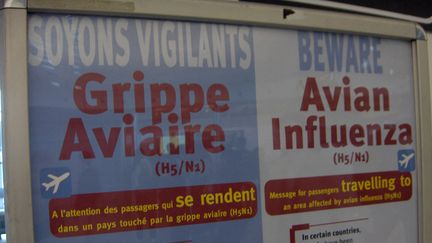 Campagne de prévention contre la grippe aviaire dans les aéroports, en 2005. (ANNE GALLIERI / RADIO FRANCE)