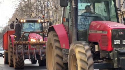 Les agriculteurs en colère prévoient de nouvelles actions coup de poing. Ils reprochent au gouvernement de les recevoir trop tardivement. La Coordination rurale appelle à manifester à Paris et partout en France à partir de lundi 6 janvier 2025. (Franceinfo)