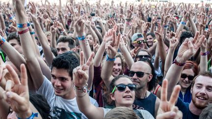 Le public de Solidays, ici le 25 juin 2016.
 (CITIZENSIDE / Yann KORBI / citizenside)