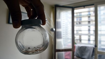 Un appartement d'Ivry-sur-Seine infesté par les punaises de lit. (CLEMENT CHAILLOU / MAXPPP)