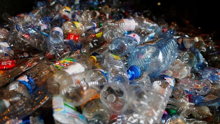 Dans une usine de recyclage de plastique à Rocquancourt, dans le Calvados, en 2016.&nbsp; (CHARLY TRIBALLEAU / AFP)