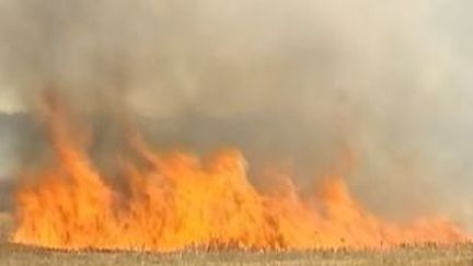 Canicule : plusieurs incendies ont fait des dégâts dans les campagnes