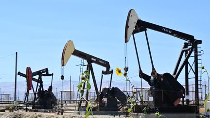 Des puits de pétrole en Californie. Photo d'illustration. (FREDERIC J. BROWN / AFP)