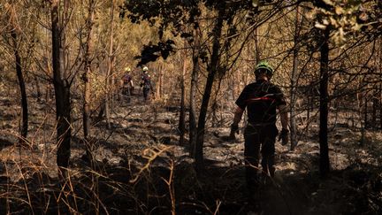 Des pompiers dans la forêt de Landiras (Gironde) détruite par les flammes, le 21 juillet 2022. (LAURENT PERPIGNA IBAN / HANS LUCAS)