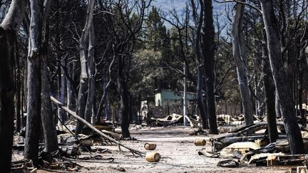 Un camping détruit, le 15 août 2023, par un incendie de forêt à Saint-André, près d'Argelès-sur-Mer (Pyrénées-Orientales). (CHARLY TRIBALLEAU / AFP)