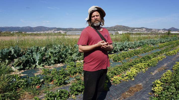 Olivier Chantry sur une des parcelles de son exploitation de maraîchage, le 19 avril 2023, à Sant Boi de Llobregat (Espagne). (MARIE-VIOLETTE BERNARD / FRANCEINFO)