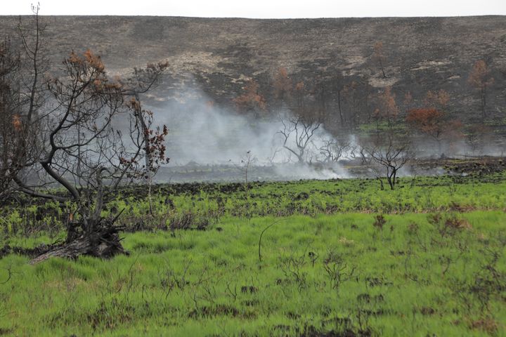 Smoke escapes from the ground, near the Saint-Michel mountain, on August 18, 2022 in Saint-Rivoal (Finistère).  (THOMAS BAIETTO / FRANCEINFO)