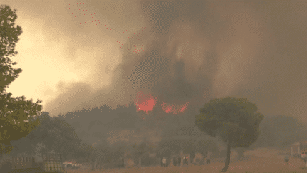 Incendies en Grèce : le feu continue de gagner du terrain