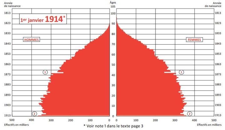 La pyramide des &acirc;ges fran&ccedil;aise de 1914 est plut&ocirc;t r&eacute;guli&egrave;re et s'apparente &agrave; une "meule de foin", explique Gilles Pison.&nbsp; (INED)