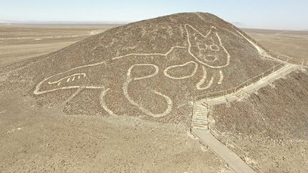 Pérou : un "chat géant" découvert dans le désert de Nazca