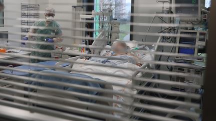 Une soignante s'occupe d'un malade à l'hôpital Pasteur de Colmar pendant la 5e vague de Covid-19. Photo d'illustration. (HERVÉ KIELWASSER / MAXPPP)