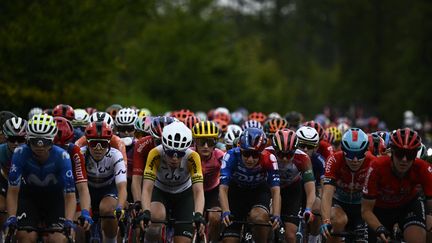 Le peloton du Tour de France femmes lors de la 5e étape, le 15 août 2024. (JULIEN DE ROSA / AFP)