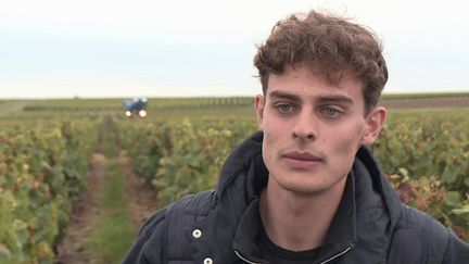 Vin : Émile Coddens, le vigneron star de TikTok