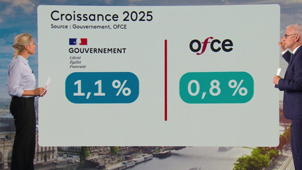 Budget 2025 : les hausses d'impôts et d'économies pourraient avoir des effets pervers sur la croissance (France 2)