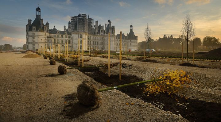 Château de Chambord, début novembre.
 (Leonard DE SERRES / Domaine national de Chambord / AFP)