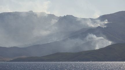 Déjà l'été 2017, des incendies avaient fait des ravages dans le Cap Corse. (MAXPPP)