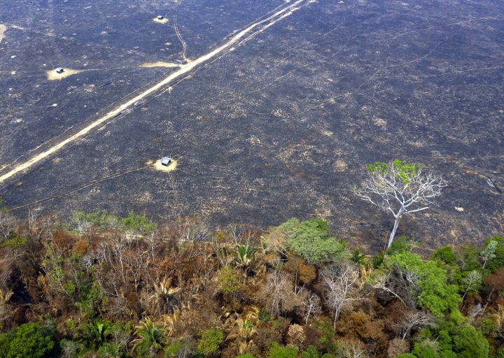 Vue aérienne d'une partie de la forêt amazonienne partie en fumée près de Porto Velho dans l'État de Rondonia au Brésil. (CARLOS FABAL / AFP)