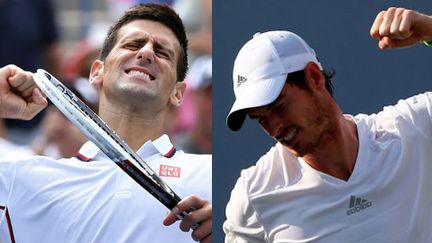 Novak Djokovic face à Andy Murray