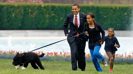 14 avril 2009. Malia, Sasha et Barack Obama présentent leur nouveau chien, Bo.&nbsp; (CHIP SOMODEVILLA / GETTY IMAGES NORTH AMERICA)