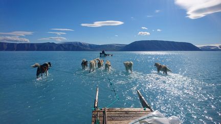 Une équipe de scientifiques a traversé un fjord du Gröenland inondé jeudi 13 juin 2019. (CAPTURE D'ECRAN TWITTER / STEFFEN MALSKAER OLSEN)