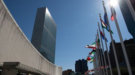 Le siège de l'ONU à New York&nbsp;(Etats-Unis), le 1er avril 2019. (RALF HIRSCHBERGER / DPA / AFP)