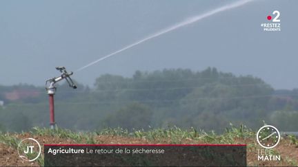 Agriculture : le retour de la sécheresse