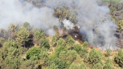 Incendies en Gironde : une accalmie dans la progression des feux, les pompiers restent mobilisés