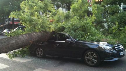 Une voiture a &eacute;t&eacute; &eacute;cras&eacute;e par un arbre alors qu'elle&nbsp;circulait sur les Grands Boulevards, &agrave; Paris, le 16 juin 2014. (THE_RICOU / TWITTER)