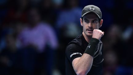 Andy Murray  (GLYN KIRK / AFP)