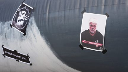 Activists for the protection of endangered animal species have been mobilizing since the arrest of Paul Watson in Greenland on July 21, as in Denmark. (EMIL HELMS / MAXPPP)