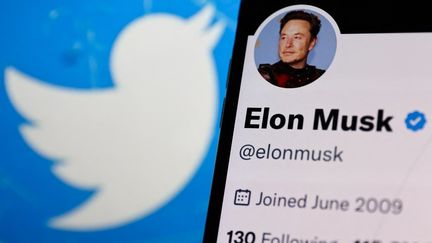 Le compte Twitter d'Elon Musk, le 14 novembre 2022. (JAKUB PORZYCKI / NURPHOTO / AFP)