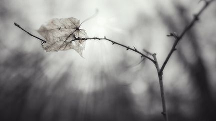 Deuil périnatal : "On s'est retrouvés très isolés" (Photo credit: )