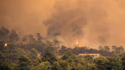 Une forêt en feu près du village de Psachna, sur l'île d'Eubée, le 13 août 2019. (ANGELOS TZORTZINIS / AFP)